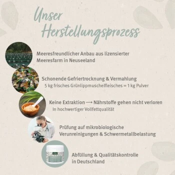Aniforte Grünlippmuschelpulver Vollfettqualität 100 G 6 Aniforte Grünlippmuschelpulver Vollfettqualität 100 G – Bild 4