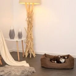 Lionto Hundebett Mit Wendekissen Meliert S -Tierbedarfs Rabatt Geschäft da1652eacbf064171e9e0e9da4ceba9377d5ea08 1657960 de DE 656337e4d1290a59374f1992093789c3e8808553mhNhLE