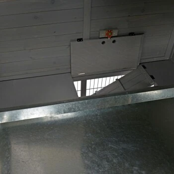 MORE FOR Zwergkaninchenstall Palace 5 MORE FOR Zwergkaninchenstall Palace – Bild 3