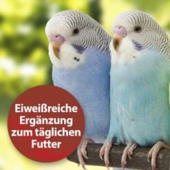 Quiko Bierhefe 400g: Eiweißreiche Ergänzung Zum Täglichen Futter Für Ziervögel -Tierbedarfs Rabatt Geschäft dbea3a9534bfd87d9c3612a707b4b2a72d3b88e8 1386526 de DE 81b3ddf78d2ba1575bc8dd1b556a4d784786c157kjWBy7