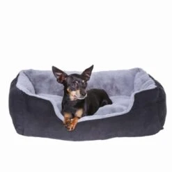 Lionto Hundekissen, Hundebett / Katzenbett Mit Wendekissen Grau/ Schwarz S -Tierbedarfs Rabatt Geschäft dcc5d9292850980da597dd3d41b309b2bef92fcf 1642112 de DE 2bf39624753f19296fa88fba5b98bc67c216a94aqaWpS0