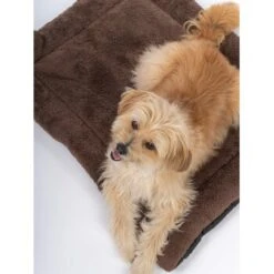TrendPet SoftPad Gefütterte Liegedecke Braun XS 9 TrendPet SoftPad Gefütterte Liegedecke Braun XS -Tierbedarfs Rabatt Geschäft e157885f11637efa8758a142cf84ed9f364122c5 1223181 de DE 27b7c1e49a392f1d89b057672585fbb6ce9e6c10VHE7dd
