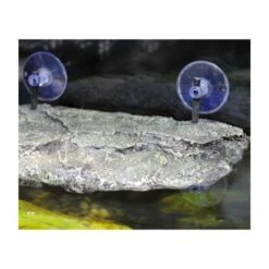 Lucky Reptile Turtle Island II M 7 Lucky Reptile Turtle Island II M -Tierbedarfs Rabatt Geschäft e1810f89c1e9f7b8843efef503f104a993d9f22a ca14fa4ac960549c7f5e2a2f8bf7c187cc3c148c