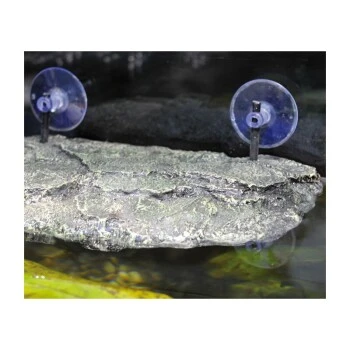 Lucky Reptile Turtle Island II M 5 Lucky Reptile Turtle Island II M – Bild 3