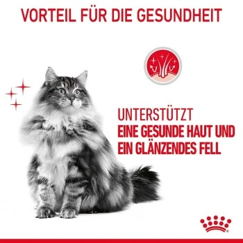 ROYAL CANIN Hair & Skin 12x85g In Soße 7 ROYAL CANIN Hair & Skin 12x85g In Soße – Bild 5