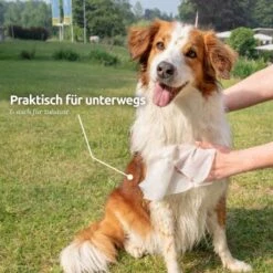 Aniforte Pflegetücher 100 Stück -Tierbedarfs Rabatt Geschäft e365b8abe40c079512459251ed7a0e0087ff8345 1439276 de DE e9b1c5cd3e053b4194f300ca56919dacbe6d40f5HoicFY