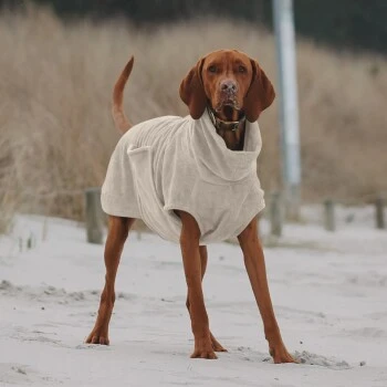 THE DOG IDEA Bademantel Every Beige XXXS 5 THE DOG IDEA Bademantel Every Beige XXXS – Bild 3