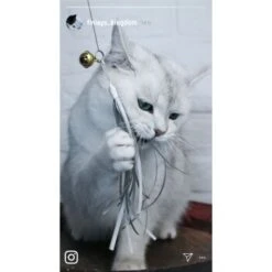 Kater Kasimir Premium Katzenangel Mit 4 Handgemachten Anhängern Aus Naturmaterial 11 Kater Kasimir Premium Katzenangel Mit 4 Handgemachten Anhängern Aus Naturmaterial -Tierbedarfs Rabatt Geschäft e6fe48d27b82d48675d665ee2a143e3c11de2fd9 1408150 de DE b29a5f7f2530ce6388e16e2600369d70b2ec0350kYn6B8