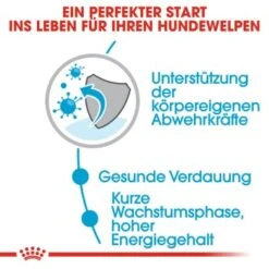 ROYAL CANIN Medium Puppy 10x140g 18 ROYAL CANIN Medium Puppy 10x140g -Tierbedarfs Rabatt Geschäft ea01834e95d5331859ec66f06e01952c0612edab 86009acb36c61560ce965056594dc109940f0dfe