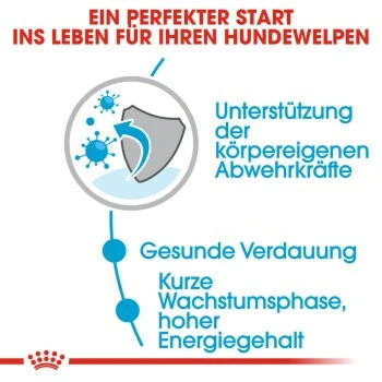 ROYAL CANIN Medium Puppy 10x140g 10 ROYAL CANIN Medium Puppy 10x140g – Bild 8