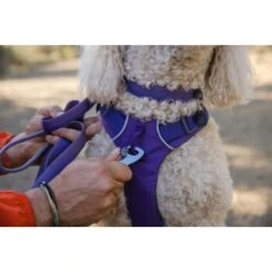 Ruffwear Front Range™ Leine Violett -Tierbedarfs Rabatt Geschäft eb2f9759d53ffaaebfe530ff03ce98c7a48a56d1 1651455 de DE 2df17f72915d6716e32ef884f8fc79995debc11eCsj6N1