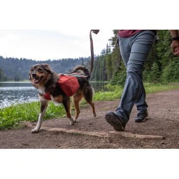 Ruffwear Front Range™ Hundetagesrucksack Rot XS 10 Ruffwear Front Range™ Hundetagesrucksack Rot XS – Bild 8