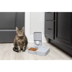PetSafe Futterautomat Für 2 Mahlzeiten 31 PetSafe Futterautomat Für 2 Mahlzeiten -Tierbedarfs Rabatt Geschäft ecfa45428902a757dc7016a44357eeb1f8b25a89 1343837 6