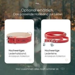 Freudentier Gefüttertes Halsband Aus Leder Rot L 15 Freudentier Gefüttertes Halsband Aus Leder Rot L -Tierbedarfs Rabatt Geschäft edbbec2203d36f9f92e63e25e5dac1465e2212f9 1655241 de DE f27ae6c917577706d4abf31813f6f4ca38005295rnxmmc