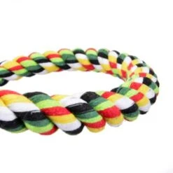 HappyBird Baumwollspirale Cotton Curl 9 HappyBird Baumwollspirale Cotton Curl -Tierbedarfs Rabatt Geschäft ef9fa46dbf2812dad6b2499107087f5dc84053ef 1102358 de DE 43fad84b3b6f3eabc9b58772a1957ed576894bf62EouCk