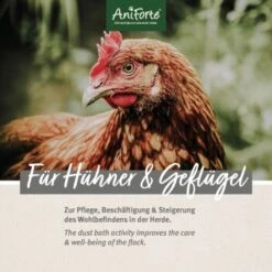 Aniforte Staubbad Für Hühner 10kg 12 Aniforte Staubbad Für Hühner 10kg -Tierbedarfs Rabatt Geschäft f0828d691afac1ceb41f50168d32fa2f51ee0434 1489435 de DE 8b05b5ef060d964b4334a984d71ab6a4b68e4e0em7n27D
