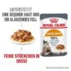 ROYAL CANIN Hair & Skin 12x85g In Soße 2 ROYAL CANIN Hair & Skin 12x85g In Soße -Tierbedarfs Rabatt Geschäft f1a255aad6f944449acb2c6f5a3937572f3debf3 1099143 3
