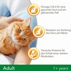 IAMS Vitality Adult Huhn 3 Kg 11 IAMS Vitality Adult Huhn 3 Kg -Tierbedarfs Rabatt Geschäft f239d7ef57a6054553948e62d3d5feb16002578a 8361bd6d370c2f798bd71fa3242ca269884546de