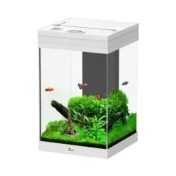 Aquatlantis Tower 43 Aquarium Weiß