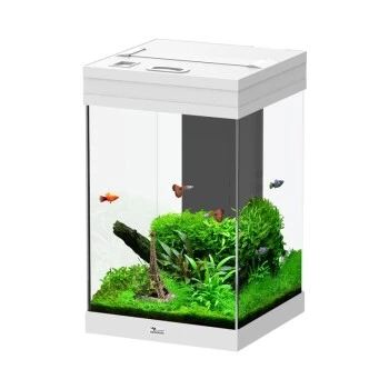 Aquatlantis Tower 43 Aquarium Weiß 3 Aquatlantis Tower 43 Aquarium Weiß