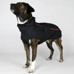 THE DOG IDEA Regenmantel Duke Schwarz XXXS -Tierbedarfs Rabatt Geschäft f29242359df1a071e2aabe682ce26323da8fa9d3 1472973 de DE 2d3ce4b64373a26701d22a56596fd6822889f96dzbZU59