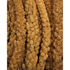 JR Farm Gelbe Kolbenhirse 1,5 Kg -Tierbedarfs Rabatt Geschäft f38b3973c37de3c4049cfe33760d45f9b1030524 bf617f613049b6bf32c99e0b1ff1845b71b1521d