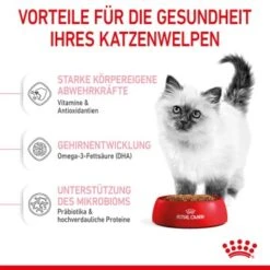 ROYAL CANIN Kitten 4 Kg 20 ROYAL CANIN Kitten 4 Kg -Tierbedarfs Rabatt Geschäft f4a05d762cdc5e6b170f6edd236e6bd5b7278cb0 3182550702973 5
