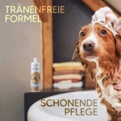 Pawlie's Welpenshampoo 12 Pawlie's Welpenshampoo -Tierbedarfs Rabatt Geschäft f56801adb1bee6d0b5fdd328d641fa773ce5d4c4 1626204 de DE 7b87b87a2e48e8c0e12b98c918c4d75b538aae40E5TfEc