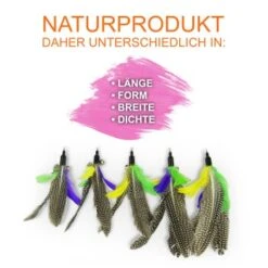 Schlitzohr Katzenangel Federanhänger 5x -Tierbedarfs Rabatt Geschäft f6a96b93601c3b2f6f7420ade3ecfe56542cca74 1484675 de DE b1d2fd29ad67016b9a6af908251d348edfa467f2BG8aWR