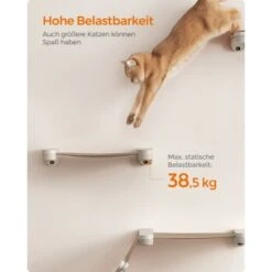 FEANDREA Clickat Katzenmöbel 3er Set, Für Die Wand 18 FEANDREA Clickat Katzenmöbel 3er Set, Für Die Wand -Tierbedarfs Rabatt Geschäft f7aff5070c5f1b9dc5bbdf24e5f94b30ab6bcc4a 1681459 de DE 2162716de0a1552ee6b9cb18bfa03d352c2b2eebcymJF2