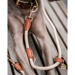 Freudentier Führleine 2m & 3-fach Verstellbar 13 Freudentier Führleine 2m & 3-fach Verstellbar -Tierbedarfs Rabatt Geschäft f89940099070c3162adf440711f0edc5bb22072e 1496011 de DE 6c2382c9aa0f35ae5d0558378f7254aaf4412a67UPNndW