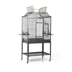 Montana Cages Voliere Madeira II Dunkelgrau -Tierbedarfs Rabatt Geschäft f9ba3b75dcc199650ff2b811f5845784a98ed4fc 1011602 de DE 17e57bead13fc4a3c95e8001e2e65e9ec98959abedP2PP