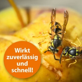 Ardap Wespenspray 400ml 4 Ardap Wespenspray 400ml – Bild 2