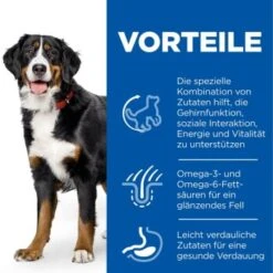 Hill's Science Plan Senior Vitality Large Breed Mature Adult 6+ Mit Huhn 14 Kg -Tierbedarfs Rabatt Geschäft f9e7891f0b0bb96357430cc68b8deb1ca3a64989 52742025964 4