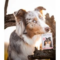 DOG'S LOVE Adult Hypoallergen 6x400g -Tierbedarfs Rabatt Geschäft f9f1fc4aa515eab49cf2248bceb6cc0121fe13fb 1274558 1