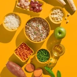 Fred & Felia FRED 10x390g Huhn Mit Reis -Tierbedarfs Rabatt Geschäft fa3354d5d7e29f5e3115c7e325cceb743afafaab 1422051 de DE 7f006e1364cbbcd2f31ac4115d4fa7fef4504fe7YhzorV