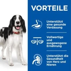 Hill's Science Plan Healthy Cuisine Adult Chicken & Beef Ragout 12x90 G -Tierbedarfs Rabatt Geschäft fa56bc810b58f54b8cab67fa457fdfcc90520554 1386414 de DE hills 4