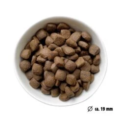Eat Small EatSmall 3x2kg Maxi Active Trockenfutter 11 Eat Small EatSmall 3x2kg Maxi Active Trockenfutter -Tierbedarfs Rabatt Geschäft fbbfaf0a833b49c22c426aa2a84c1e89a7061771 1492081 de DE 7be7b6abbd10a501ad4eda906b0ca458956766a1RjBOXJ