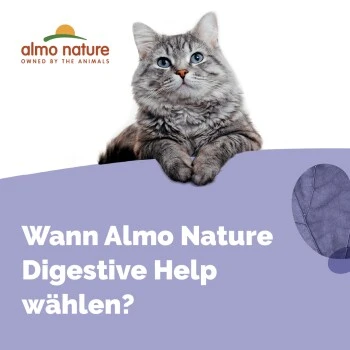Almo Nature Almo Holistic Digestive Help 30x70g Mit Fisch 6 Almo Nature Almo Holistic Digestive Help 30x70g Mit Fisch – Bild 4
