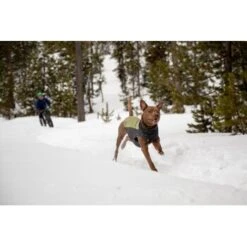 Ruffwear Climate Changer™ Fleece-Pullover Für Hunde Rot S -Tierbedarfs Rabatt Geschäft fc22c2bf571467d3b4a13f07039506d1e744f556 1369661 de DE a9fba8eb5491b88489a9522880e926a6833ccfbe7NJDVr