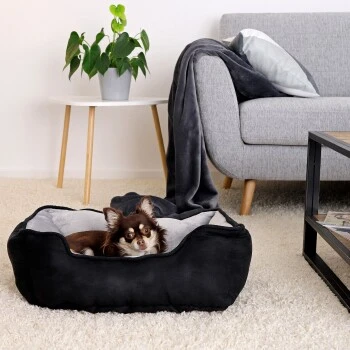 Lionto 2-in-1 Hundebett Hundekissen S 4 Lionto 2-in-1 Hundebett Hundekissen S – Bild 2