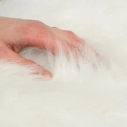 Canadian Cat Company Filzlounge AVA Beige M -Tierbedarfs Rabatt Geschäft fd8b746ad0dc996bb62efc39f6c670f6be8df30e 1360999 de DE c86a4e6d9ceba2c1e55f3f753eeda095c89215723XoDPL