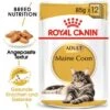 ROYAL CANIN Maine Coon 12x85g -Tierbedarfs Rabatt Geschäft fdf483eeb3c41dc63a8fcf7d7e671baf4a99c8e4 fd4fefbbf482602021294d203fb1cc87789b8086