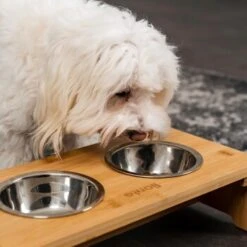 Lionto Erhöhte Futterstation Aus Bambus Braun/ Silber S -Tierbedarfs Rabatt Geschäft ff2eba128a0d6b75a70cc824dc213b8dd85d734a 1665921 de DE e23b5a688ebe67bbe1f23e079b16083d61ef18cdlFh9kV